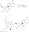 Fig. 94 - Methods for treating virus infections