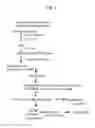 Fig. 05 - Method for producing beta-hematin crystal comprising step of heating