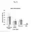 Fig. 22 - Method for producing beta-hematin crystal comprising step of heating