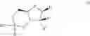 Fig. 03 - Cyclic phosphonate substituted nucleoside derivatives and methods of use thereof for the treatment of viral diseases