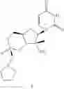 Fig. 42 - Cyclic phosphonate substituted nucleoside derivatives and methods of use thereof for the treatment of viral diseases