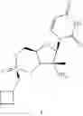 Fig. 45 - Cyclic phosphonate substituted nucleoside derivatives and methods of use thereof for the treatment of viral diseases