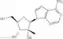 Fig. 46 - Cyclic phosphonate substituted nucleoside derivatives and methods of use thereof for the treatment of viral diseases