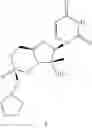 Fig. 49 - Cyclic phosphonate substituted nucleoside derivatives and methods of use thereof for the treatment of viral diseases