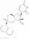 Fig. 51 - Cyclic phosphonate substituted nucleoside derivatives and methods of use thereof for the treatment of viral diseases