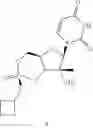Fig. 52 - Cyclic phosphonate substituted nucleoside derivatives and methods of use thereof for the treatment of viral diseases