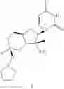 Fig. 55 - Cyclic phosphonate substituted nucleoside derivatives and methods of use thereof for the treatment of viral diseases