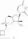 Fig. 58 - Cyclic phosphonate substituted nucleoside derivatives and methods of use thereof for the treatment of viral diseases