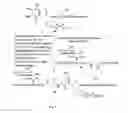 Fig. 03 - Peptide Ligation