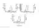 Fig. 02 - Methods of increasing protein purity using protein A based chromatography