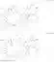 Fig. 11 - V1A receptor agonists