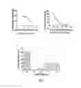 Fig. 02 - Biomimetic peptide and biodegradable delivery platform for the treatment of angiogenesis- and lymphangiogenesis-dependent diseases
