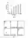 Fig. 05 - Biomimetic peptide and biodegradable delivery platform for the treatment of angiogenesis- and lymphangiogenesis-dependent diseases
