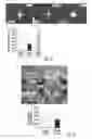 Fig. 12 - Biomimetic peptide and biodegradable delivery platform for the treatment of angiogenesis- and lymphangiogenesis-dependent diseases