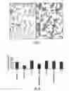Fig. 17 - Biomimetic peptide and biodegradable delivery platform for the treatment of angiogenesis- and lymphangiogenesis-dependent diseases