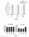 Fig. 18 - Biomimetic peptide and biodegradable delivery platform for the treatment of angiogenesis- and lymphangiogenesis-dependent diseases