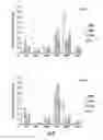 Fig. 23 - Biomimetic peptide and biodegradable delivery platform for the treatment of angiogenesis- and lymphangiogenesis-dependent diseases