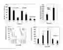 Fig. 07 - Short beta-defensin-derived peptides