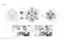 Fig. 02 - Polypeptides for use in self-assembling protein nanostructures
