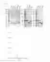 Fig. 04 - Polypeptides for use in self-assembling protein nanostructures
