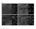 Fig. 05 - Polypeptides for use in self-assembling protein nanostructures