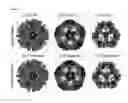 Fig. 06 - Polypeptides for use in self-assembling protein nanostructures