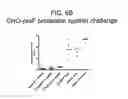 Fig. 10 - RECOMBINANT RSV ANTIGENS