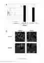 Fig. 20 - Polypeptides with permease activity