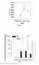 Fig. 09 - ERYTHROFERRONE AND ERFE POLYPEPTIDES AND METHODS OF REGULATING IRON METABOLISM