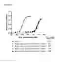 Fig. 12 - Interferon alpha 2B variants