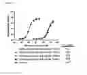 Fig. 16 - Interferon alpha 2B variants