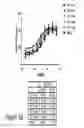 Fig. 06 - CARTILAGE-BINDING FUSION PROTEINS