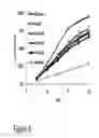 Fig. 07 - CARTILAGE-BINDING FUSION PROTEINS
