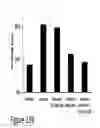 Fig. 28 - CARTILAGE-BINDING FUSION PROTEINS