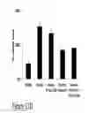 Fig. 30 - CARTILAGE-BINDING FUSION PROTEINS