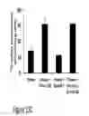 Fig. 33 - CARTILAGE-BINDING FUSION PROTEINS