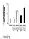 Fig. 37 - CARTILAGE-BINDING FUSION PROTEINS