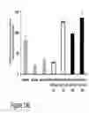 Fig. 40 - CARTILAGE-BINDING FUSION PROTEINS