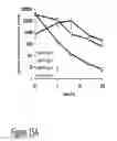 Fig. 41 - CARTILAGE-BINDING FUSION PROTEINS