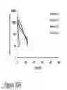 Fig. 48 - CARTILAGE-BINDING FUSION PROTEINS