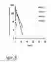 Fig. 50 - CARTILAGE-BINDING FUSION PROTEINS