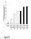 Fig. 53 - CARTILAGE-BINDING FUSION PROTEINS