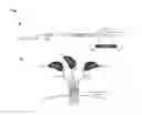 Fig. 02 - Method for producing antibody using “naked” expression vector expressing type II transmembrane fusion protein