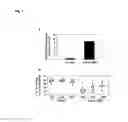 Fig. 06 - Method for producing antibody using “naked” expression vector expressing type II transmembrane fusion protein