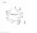 Fig. 10 - Method for producing antibody using “naked” expression vector expressing type II transmembrane fusion protein