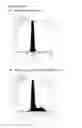 Fig. 12 - Method for producing antibody using “naked” expression vector expressing type II transmembrane fusion protein