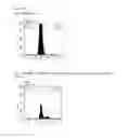 Fig. 26 - Method for producing antibody using “naked” expression vector expressing type II transmembrane fusion protein