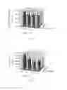 Fig. 02 - Method for extracting recombinant human serum albumin from transgenic rice grain