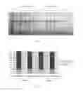 Fig. 07 - Method for extracting recombinant human serum albumin from transgenic rice grain