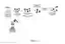 Fig. 03 - Engineered intein for improved production of protein-intein fusions